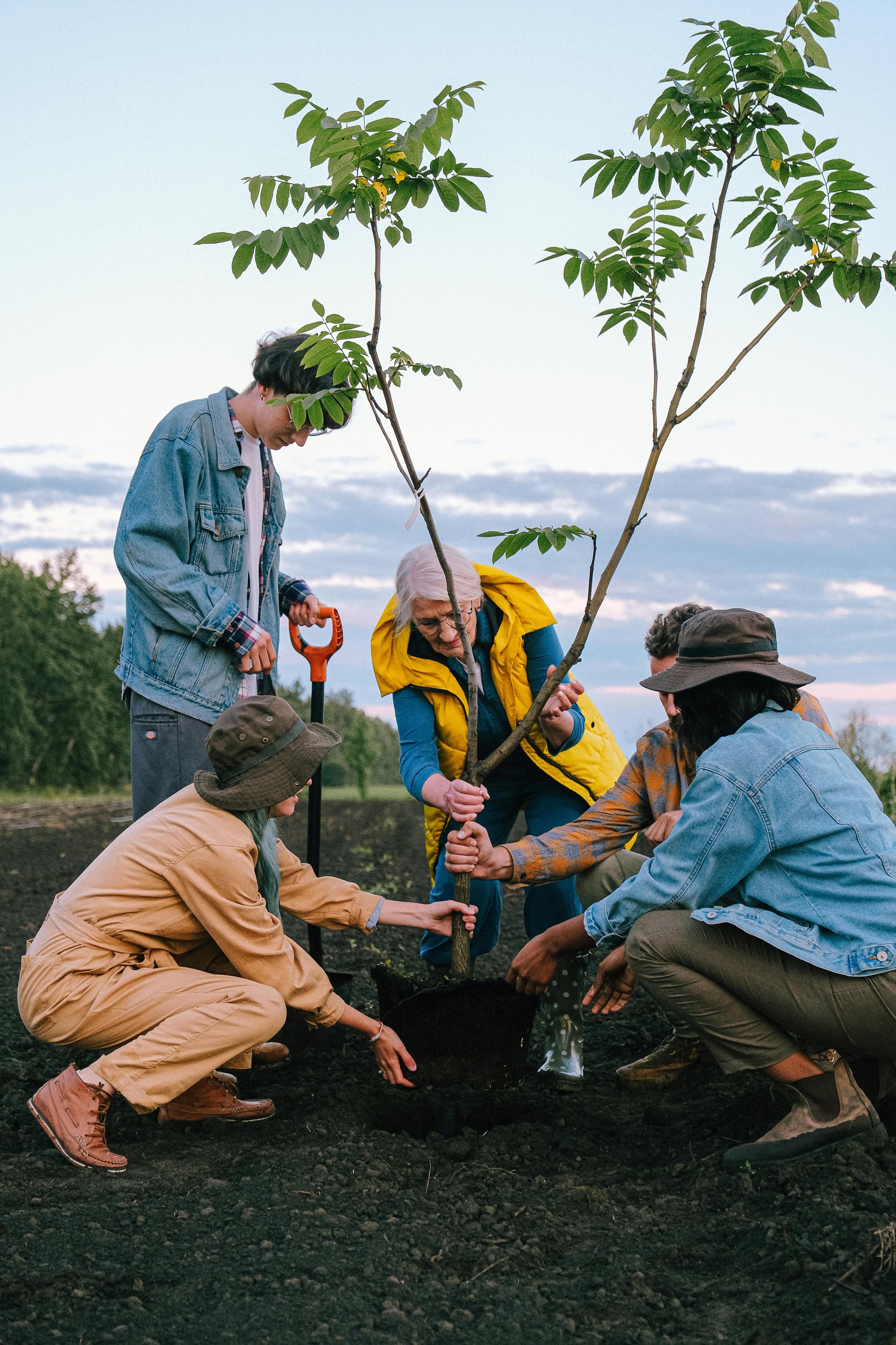 Planting a tree